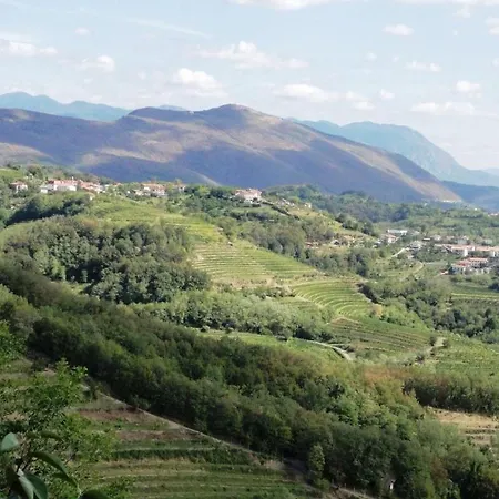 Little Vista * Kojsko