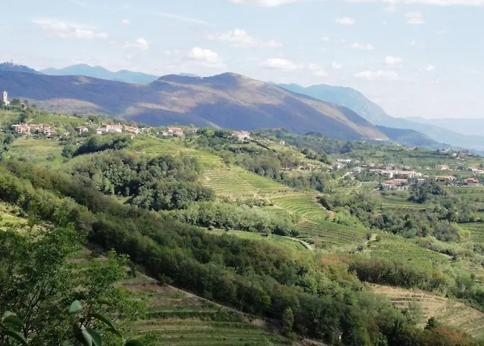 Little Vista * Kojsko